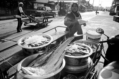Fish in Southern Thailand