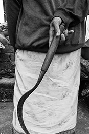 Farmer Bali