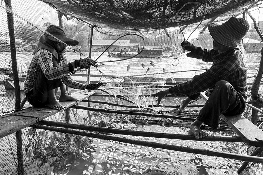 Villagers struggle to survive because of overfishing and environmental issues in Lake Tonlé Sap, Cambodia