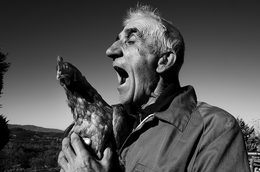 Farmer serenading his chicken. Castiglione, Tuscany, Italy