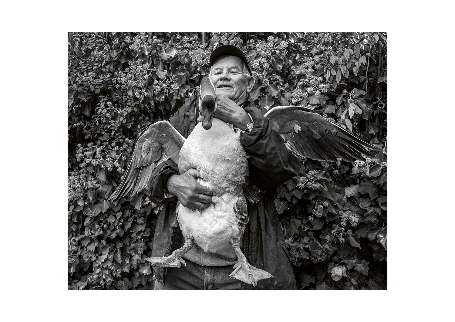#33 Birdman - Italy